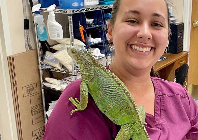 Carousel Slide 10: Reptile veterinarians at Milwood Animal Clinic
