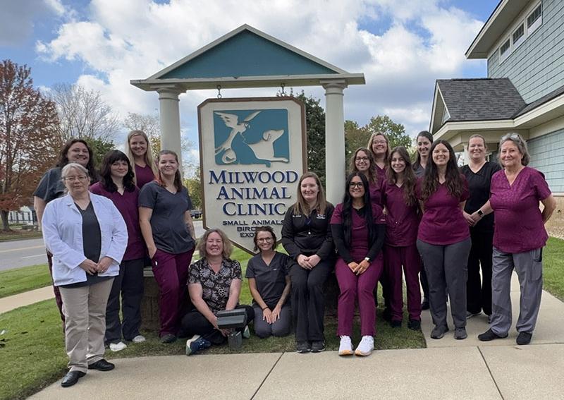 Carousel Slide 6: Meet our Team!