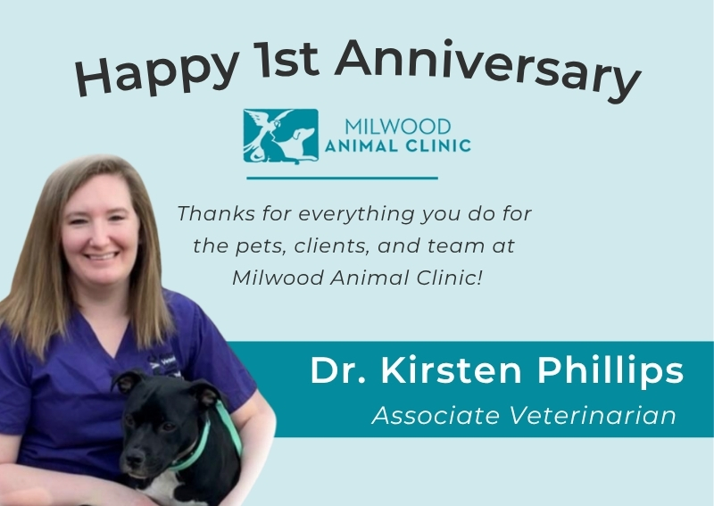Carousel Slide 3: Dr. Kirsten Phillips