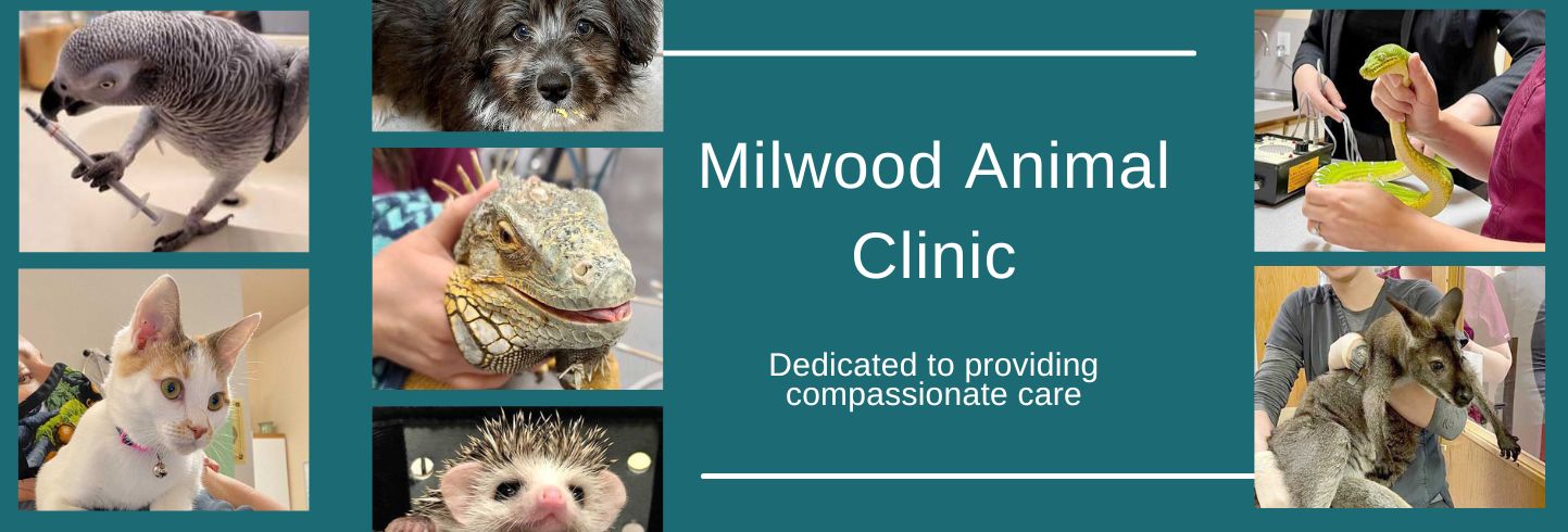 Milwood Animal Clinic