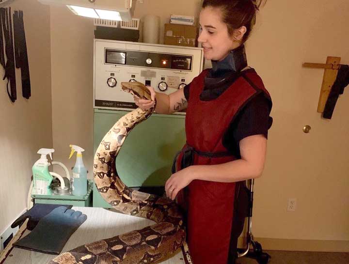 Pet Digital Radiology